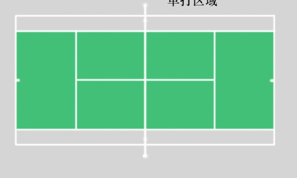 网球比赛具体规则网球发球和计分规则的判定